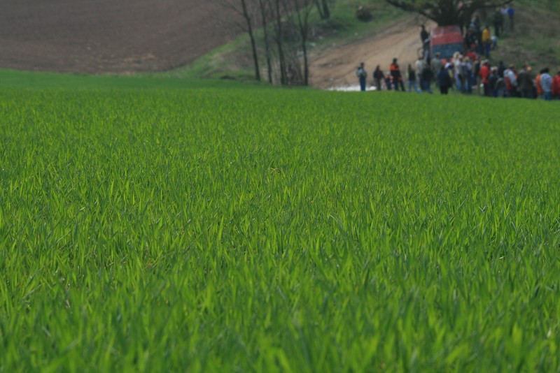Vysočina Dalečín 26.4.2008